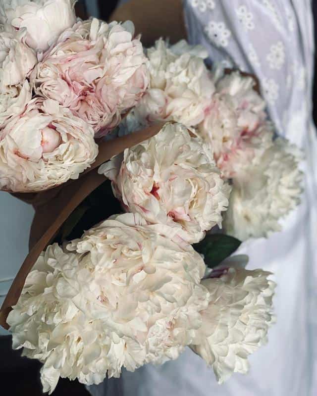 Peonies With Roses Shape 3