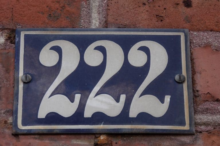The 222 Angel Number: Meaning, Symbolism & Twin Flame (Why Do You See This?)